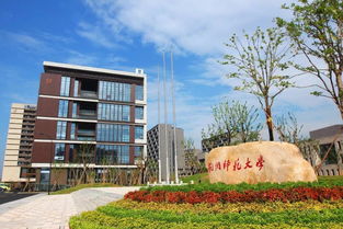 大局已定 2019中国城市发展潜力排名新鲜出炉 杭州位列第10名