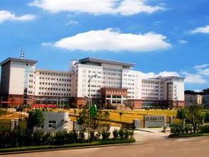 武汉理工大学
