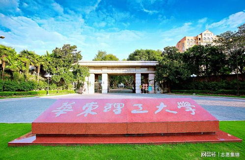 华东理工大学王牌专业有哪些 产业推动,地域优势