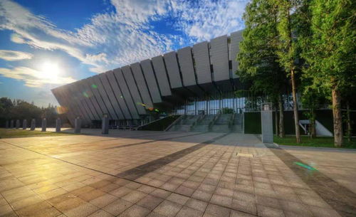 南京理工大学2022年高水平运动队招生简章